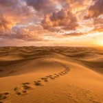 desert captions for instagram